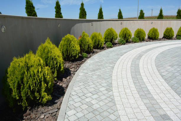  Cibolo, TX Driveway Pavers Pros