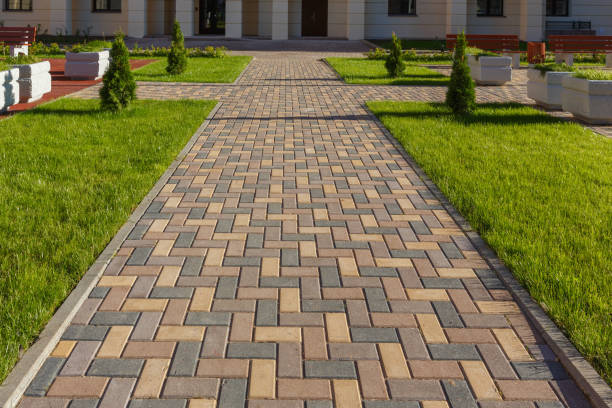 Best Driveway Paving Company  in Cibolo, TX